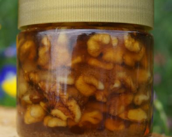 Wallnus_mit_Honig_2